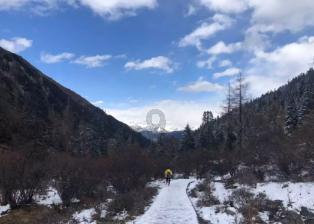 企业接待商务车丰田考斯特16座现车销售